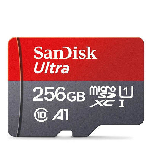 256GB SD Card - ViewRiderPro